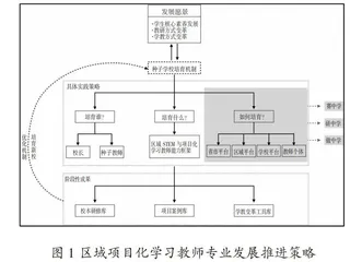 区域推进教师项目化学习面临的困境及其破解