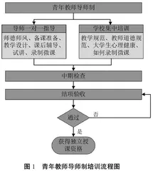 面向全英文课程的青年教师导师制研究与探讨