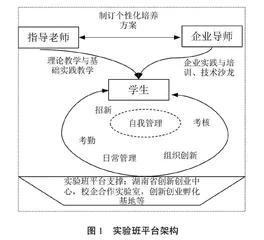 跨学科“双创”实验班人才培养模式探究