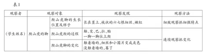 以观察记录助推“实用性阅读与交流”的落实