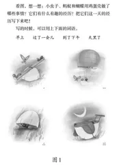 小学第一学段“微写话”策略探究