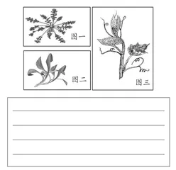 语文要素统整视域下的命题设计新样态 
