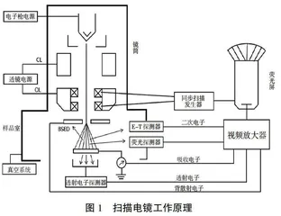 水泥石微结构电子显微镜虚拟仿真观测实验教学研究