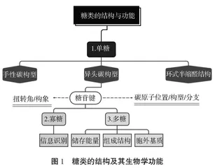 基于思维导图、类比分析与过程性评价的教学设计