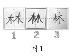重视学生能动性，促进自主识字能力发展