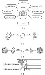 兴趣为先 素养为本 评价为要 