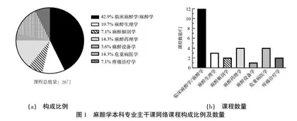 麻醉学本科专业主干课网络课程建设现状调研