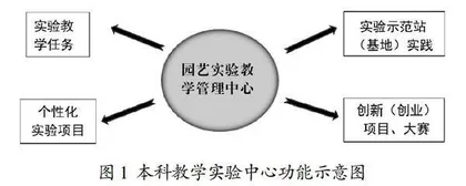“双一流”高校建设中实验教学示范中心管理新模式探索
