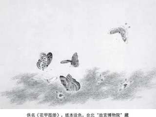 蝶恋花：探花及第及其他3