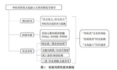 新型冠状病毒感染疫情背景下中医药传统文化在教学中的融入