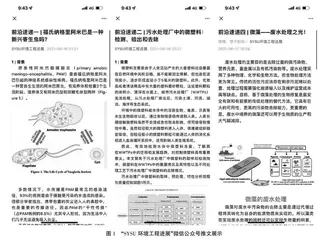 基于专业英语听、说、读、写能力与创新能力综合提升的环境工程进展（全英）课程教学改革探索与实践