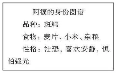 阿福的故事——一只小鸟带来的班本化生命教育课程