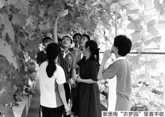 “美丽中国”行动者：打造城市初中生态劳动教育新样态