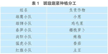 春日乐耕农，田间“辛”体验