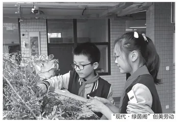 “现代·绿茵阁”创美劳动项目化学习探微