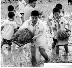 “三合五化”：中小学劳动教育推进的兰溪模式