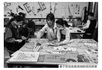 以“三三三”为抓手，推动劳动教材的深度落地