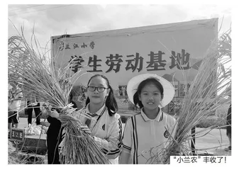 做活劳动教育 落实灵动育人