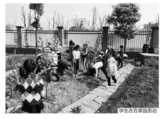 基于中医药文化的小学劳动教育校本实践