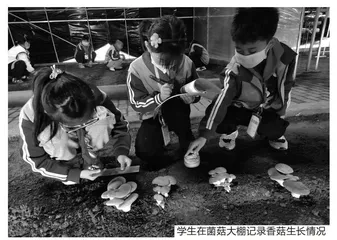 以劳动教育之美塑造幸福美好人生