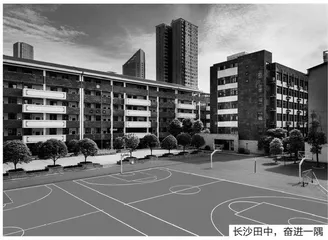 抓实抓细党建工作　引领学校高质量发展