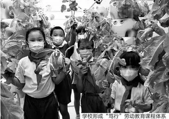 为一所理想学校而来