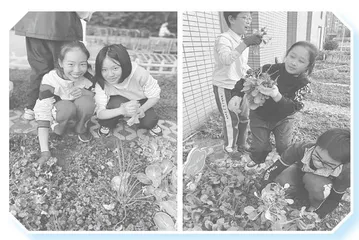 立足初中生青春期实际，优化教育策略