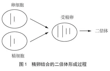 指向科学思维培养的高中生物学概念教学