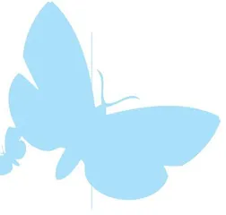 例析同理心在学生心理健康教育中的运用