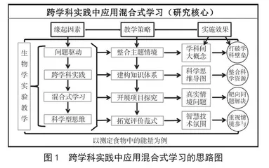 初中生物学跨学科实践中应用混合式学习