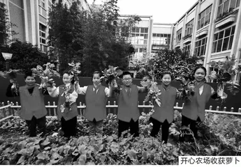 巧用“3Y”体系 做精劳动教育