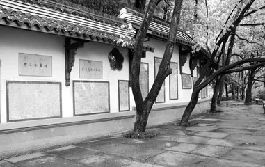 	普通高中“圣园碑林”特色德育课程的架构与实施    