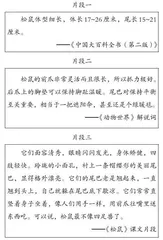 新课标视域下学生语文核心素养培育的策略探索0