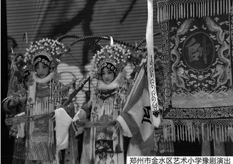 推进中华传统文化教育的“金水”实践