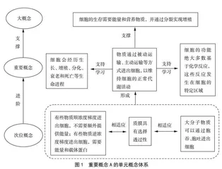 生物学单元整体设计：基于深度学习的视角
