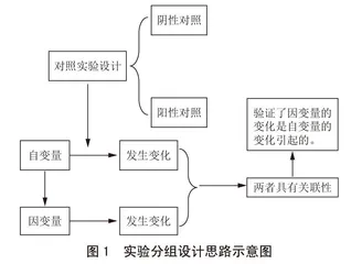 基于概念模型构建的实验分组设计策略分析