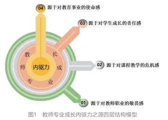 教师专业成长的内驱力之源