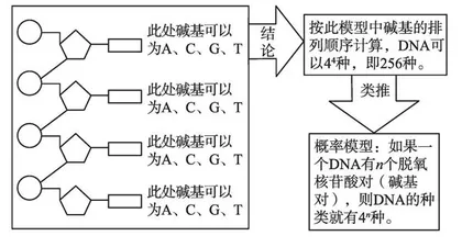 生物学模型构建的情景体验式教学