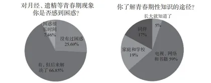 生命关怀：小学三年级青春早期成长干预探微