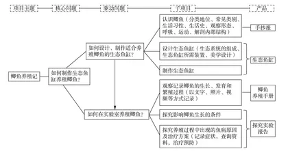 “双减”背景下运用项目化学习 实现个性化课后服务