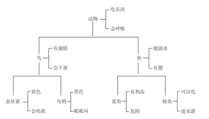 “沉浸”与“想象”的二重奏