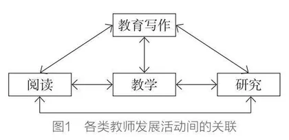 以教育写作助推青年教师专业发展