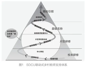 乡村教师专业发展路径探析