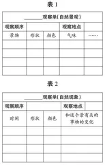 读写融合，展现动态描写之美