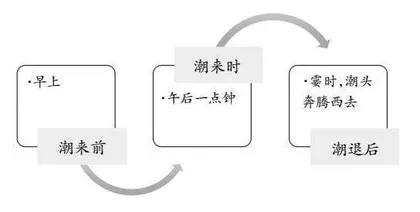印象钱江潮：一次走进壮美的历程
