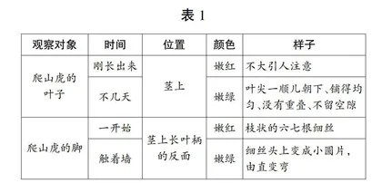 整合单元内容 落实观察要素