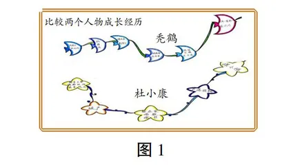 运用比较策略 丰富成长感悟