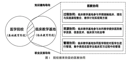 医教协同对医学生学业表现的影响分析
