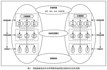 粤港澳高校合作办学界面管理的现实与重构