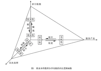 职业本科教育办学实践的意蕴解析与行动策略